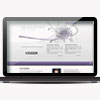 Computer Training: Mac OSX, Microsoft Windows